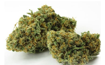 Exploring the Green Crack Strain: Benefits and Effects
