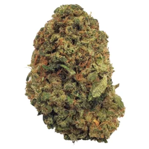 Treasure Island – 3 oz for $150 (Sativa)
