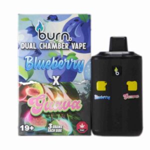 6 Gram Dual Chamber Burn Disposable Vape – Blueberry + Guava (3+3 Gram)